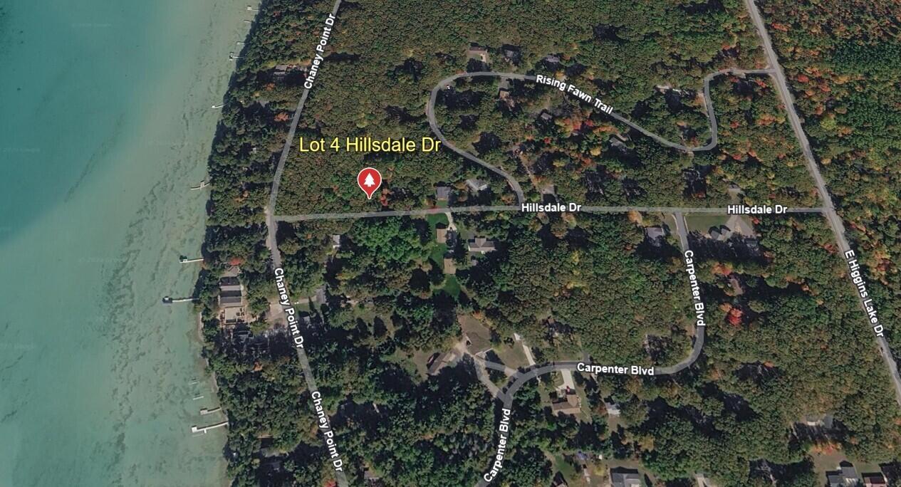 Image 2: Street Map - Google Earth