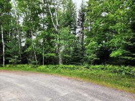 Lot 46 Bent Tree