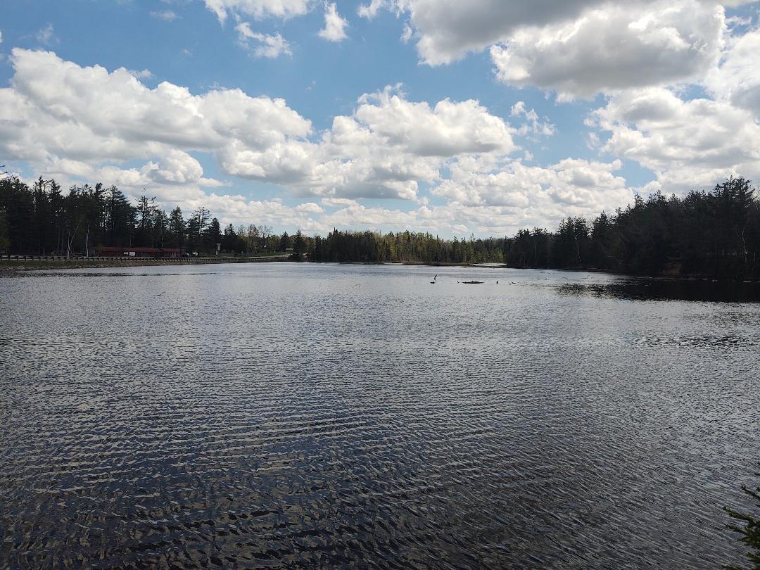 Image 2: Pond