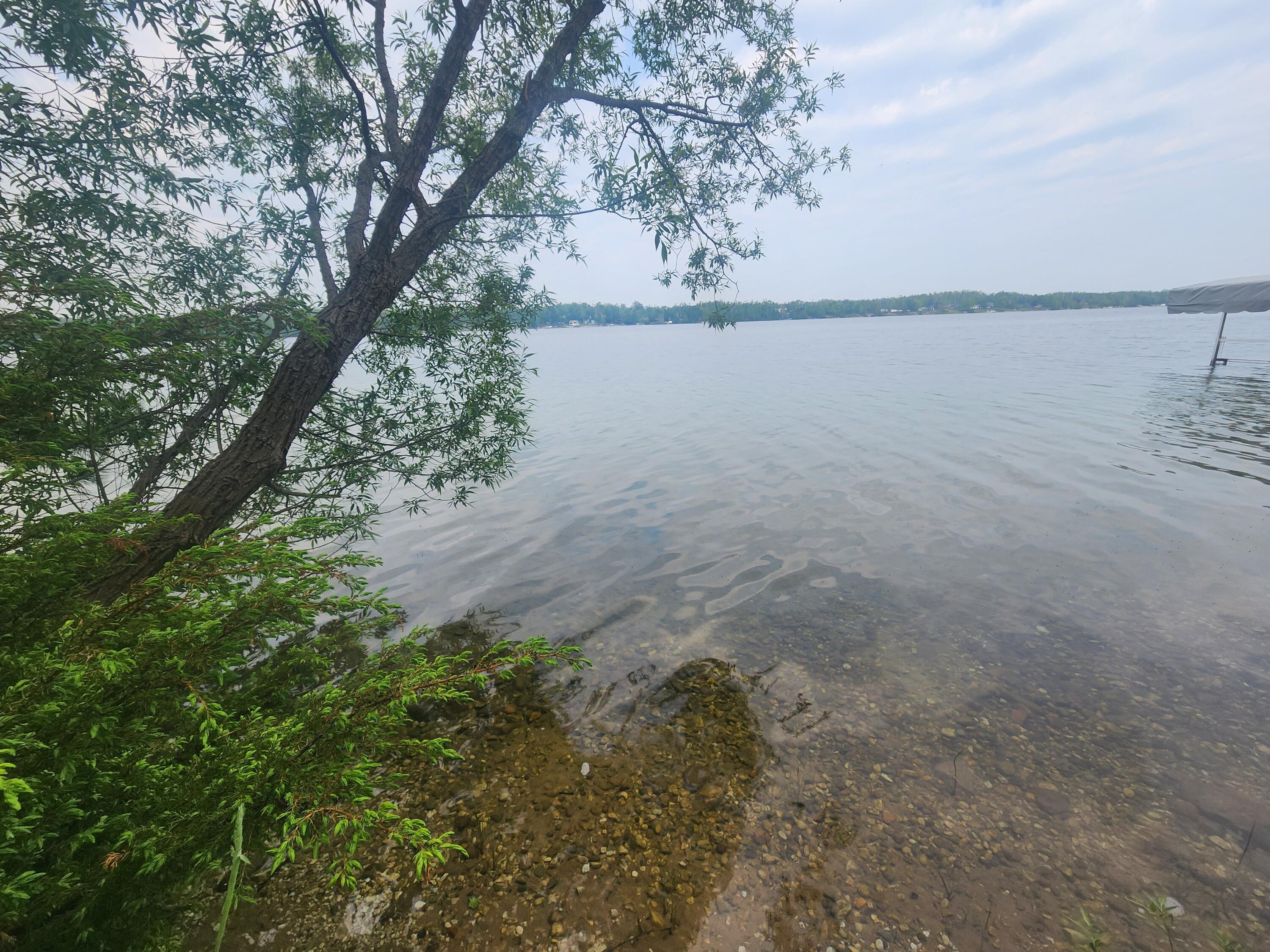 Image 3: 1000025605