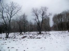 Southwood Drive