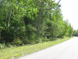 Wilderness Drive